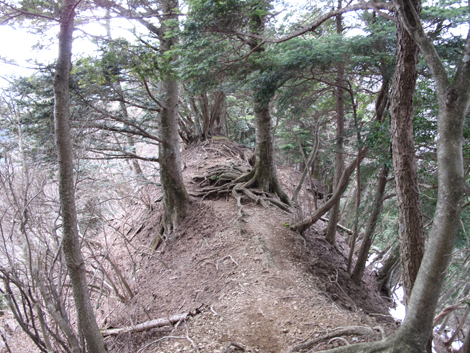 20170113hike (351)